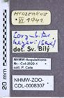Etiketten zu Ctenicera heyeri (Saxesen, 1838) (NHMW-ZOO-COL-0008307)